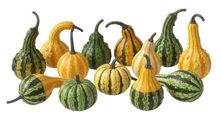Isolated Gourd Assortment