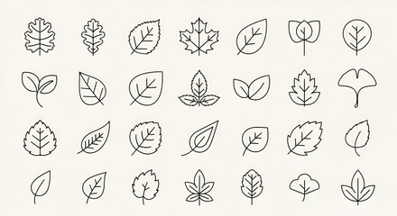 Leaf Line Icons Set | Eco Nature Outline Collection