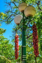 Chile Ristra Hangs from Antique Lamp Post in the Downtown Plaza of Santa Fe, NM, USA