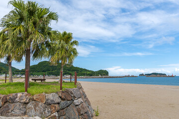 南国のヤシの木と砂浜から望む青い海と港の風景