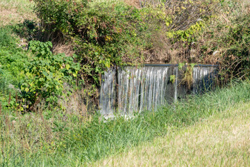 草むらに流れる水路の落差工