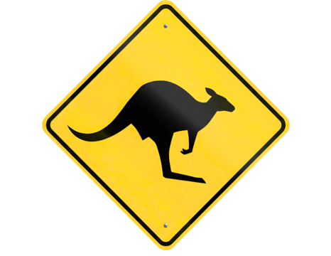 Yellow diamond kangaroo crossing warning sign isolated on transparent background