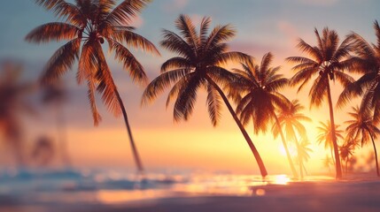 Palm trees sunset beach