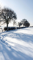 Fototapeta premium a winter landscape with a field covered in pristine white snow. a line of trees and bushes stretches across the midground, their bare branches reaching towards the sky