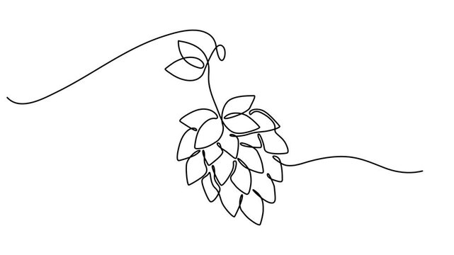 Hop herb and spikelet continuous one line drawing animation, Hop herb and spikelet animation continuous one line drawing, Essential restaurant bar icon hops concept thin line style - editable stroke