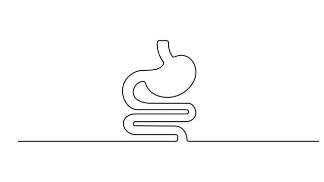 Intestines continuous one line drawing animation, Human stomach, animated self drawing of single continuous line, continuous contour movement, video drawing of line in 4k, abstract, hollow organ