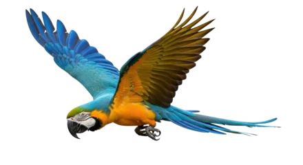 Fototapete Rund Papagei Isolated macaw, flying bird  © Sergiu