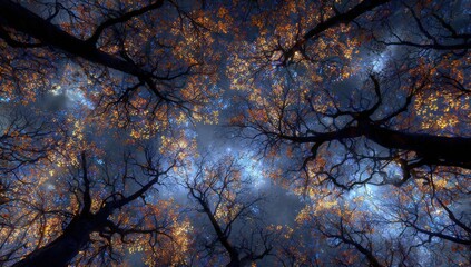 Mystical forest canopy at night