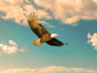 A majestic bald eagle in mid-flight with wings fully spread, gliding gracefully over a calm lake against a backdrop of forested mountains. Perfect for themes of wildlife, freedom, strength, and nature