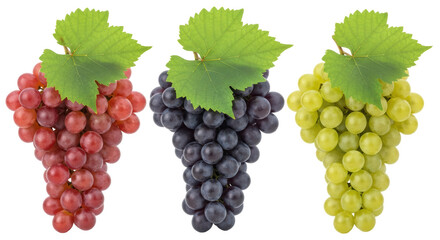 Isolated Three Bunch of Grapes