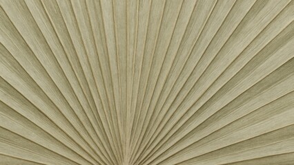 Textured natural palm leaf pattern