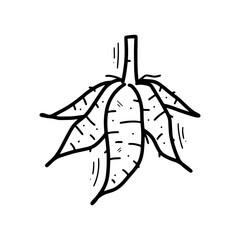 Hand Drawn Cassava Illustration. Doodle Vector. Isolated on White Background - EPS 10 Vector