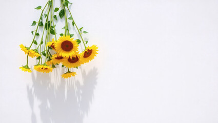 Minimalist composition of vibrant yellow sunflowers hanging upside down against a stark white wall, casting soft shadows with copy space