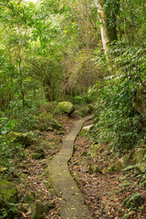 Paved hiking path to Praia do Saquinho in Florianopolis island, Brazil
