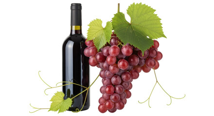 Isolated Wine and Grapes