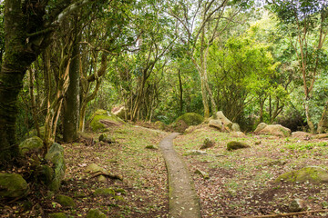 Fototapeta premium Paved hiking path to Praia do Saquinho in Florianopolis island, Brazil