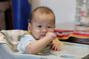 First Spoonfuls of Babyhood Joy