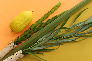 Jewish festival of Sukkot. Traditional symbols (The four species): Etrog (citron), lulav (palm branch), hadas (myrtle), arava (willow)
