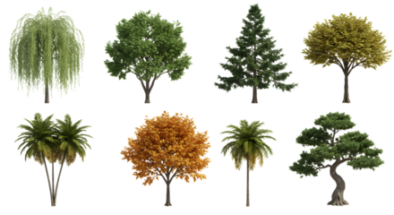 Collection of eight different tree types on transparent background