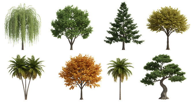 Collection of eight different tree types on transparent background