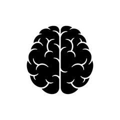 brain isolated on white background