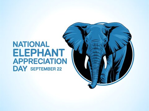 Celebrate national elephant appreciation day with this striking blue elephant graphic on september 22nd
