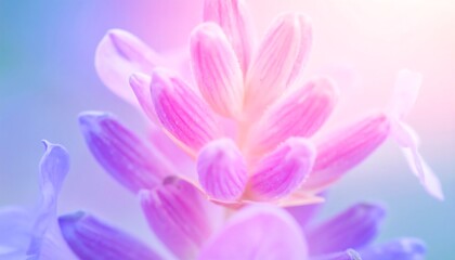 Fototapeta premium Vibrant pastel flower close-up