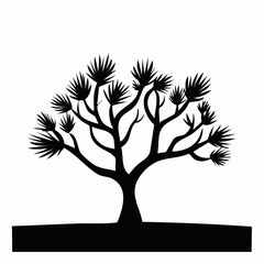 Obraz premium Mesquite tree silhouette. This image shows a black silhouette of a mesquite tree with intricate branches and foliage, also known as a desert shrub or bush. Vector clipart illustration design.