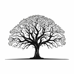 Oak tree silhouette no leaves. This image shows a detailed silhouette of an oak tree without leaves, emphasizing its stark and natural elegance. Vector clipart illustration design.