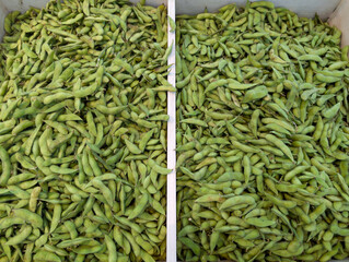 Fresh edamame harvest at market