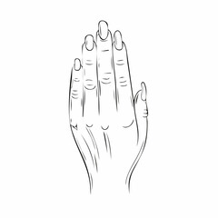 Hand nail drawing. It is a black and white outline image of a hand with visible nails, emphasizing the details of the fingernails. Vector sketch line art draw.