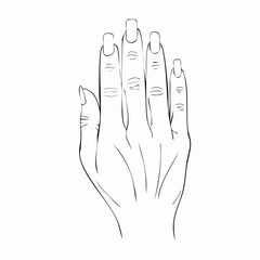 Hand nail drawing. It is a black and white outline image of a hand with visible nails, emphasizing the details of the fingernails. Vector sketch line art draw.