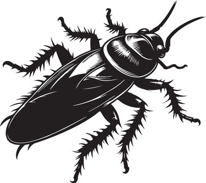 black cockroach insect detailed view clip art preview