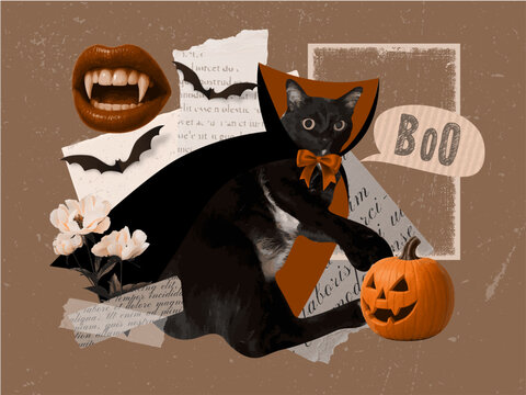 Halloween Collage with Black Cat Vampire, Pumpkin, and Spooky Elements.