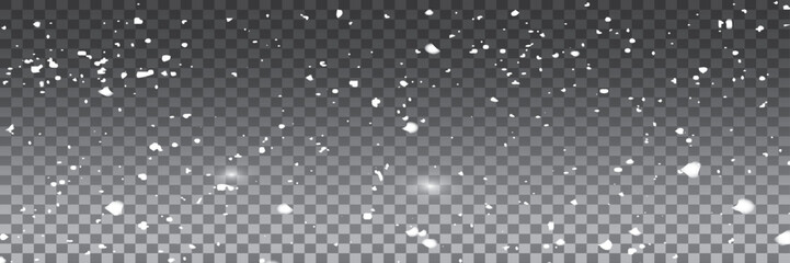 Heavy Snowfall in Transparent Cold Winter Weather