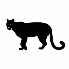 Mountain lion silhouette. This image shows a black silhouette of a mountain lion, also known as a cougar or puma, in a walking stance. Vector clipart illustration design.