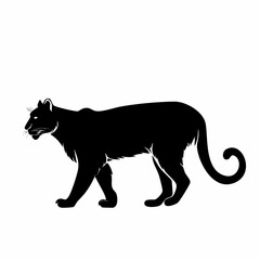 Mountain lion silhouette. This image shows a black silhouette of a mountain lion, also known as a cougar or puma, in a walking stance. Vector clipart illustration design.