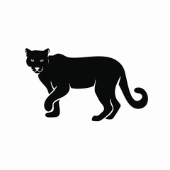 Mountain lion silhouette. This image shows a black silhouette of a mountain lion, also known as a cougar or puma, in a walking stance. Vector clipart illustration design.