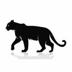 Mountain lion silhouette. This image shows a black silhouette of a mountain lion, also known as a cougar or puma, in a walking stance. Vector clipart illustration design.
