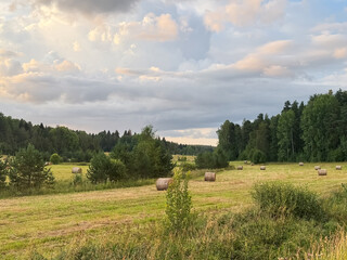 Rolled hay bales scattered across a vast green field under a clear blue sky. Harvest time