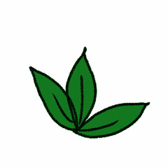 Green Leaves