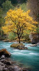 mountain river in autumn