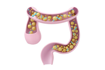 Healthy large intestine with probiotics, gut flora balance for digestive health and regularity 3D render