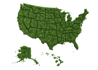 Map of the USA Covered in Green Grass