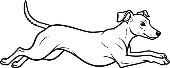 Graceful greyhound in full stride, captured in a dynamic line drawing.