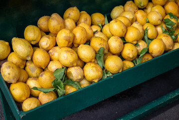 Fresh Natural Lemons on a farmers market 