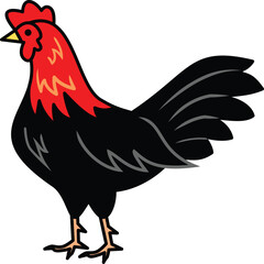 rooster
