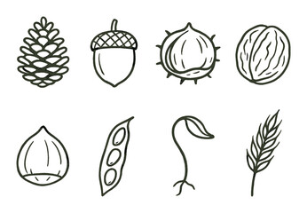 Outline illustrations of nuts, seeds, pods, and sprouts on olive background