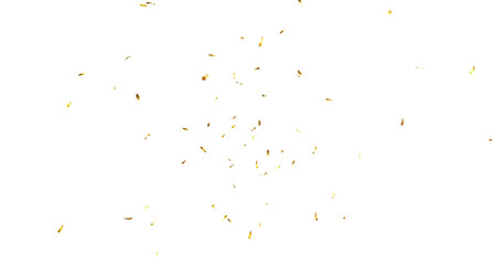 Falling isolated Gold Confetti. Glitter celebration PNG, Falling shiny gold confetti overlay on transparent background. 3d Rendering Transparent Confeti. Glossy golden festive tinsel. party, holiday, 