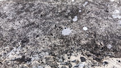 Closup grey abstract grunge concrete wall rusty metal texture stone wall papercut texture decorative wall background.
